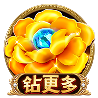 星空在线官网安卓版